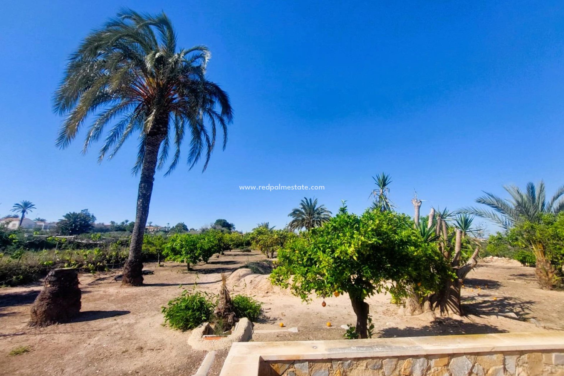 Resale - Masia -
La Marina