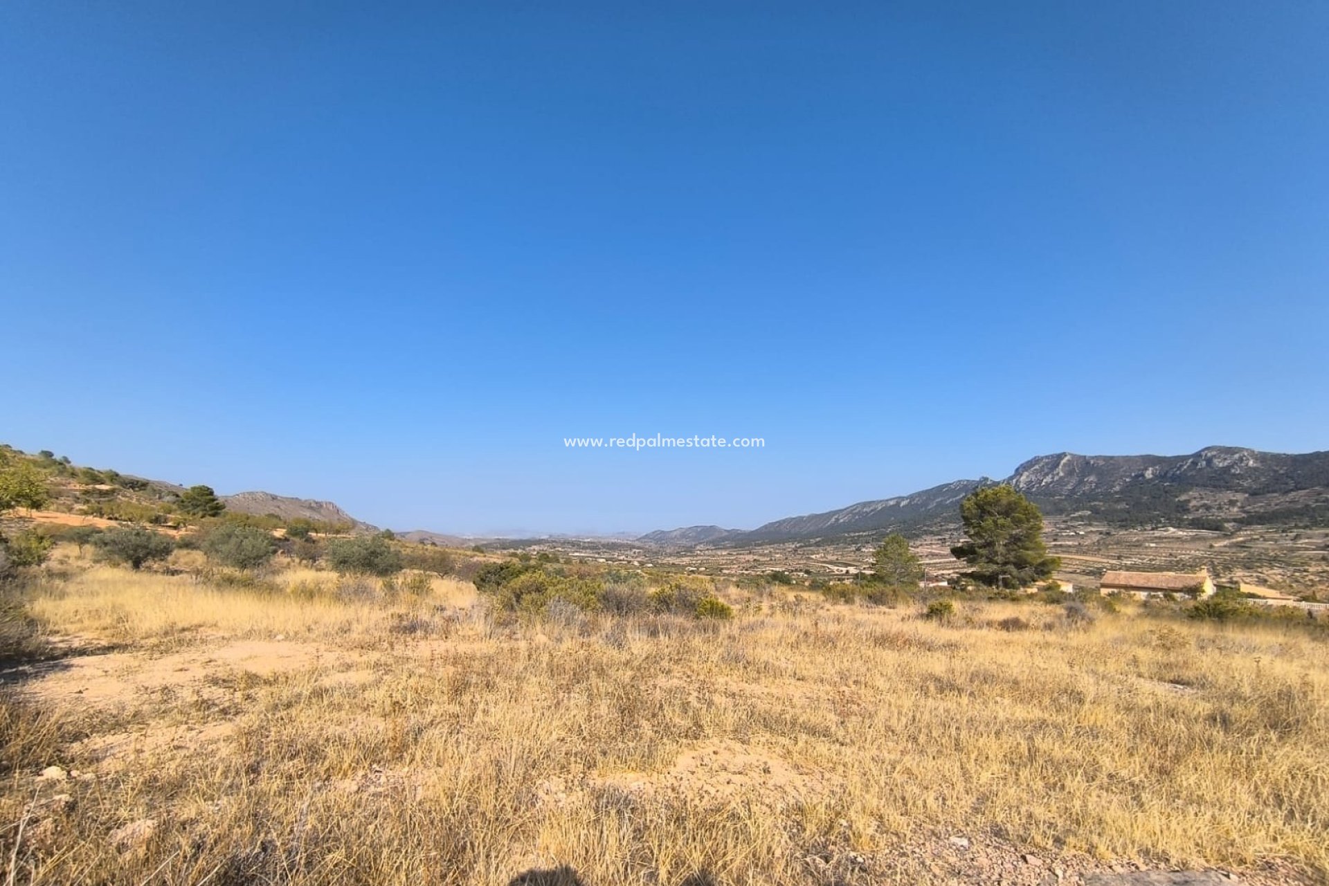 Resale - Plot -
Algueña - Inland