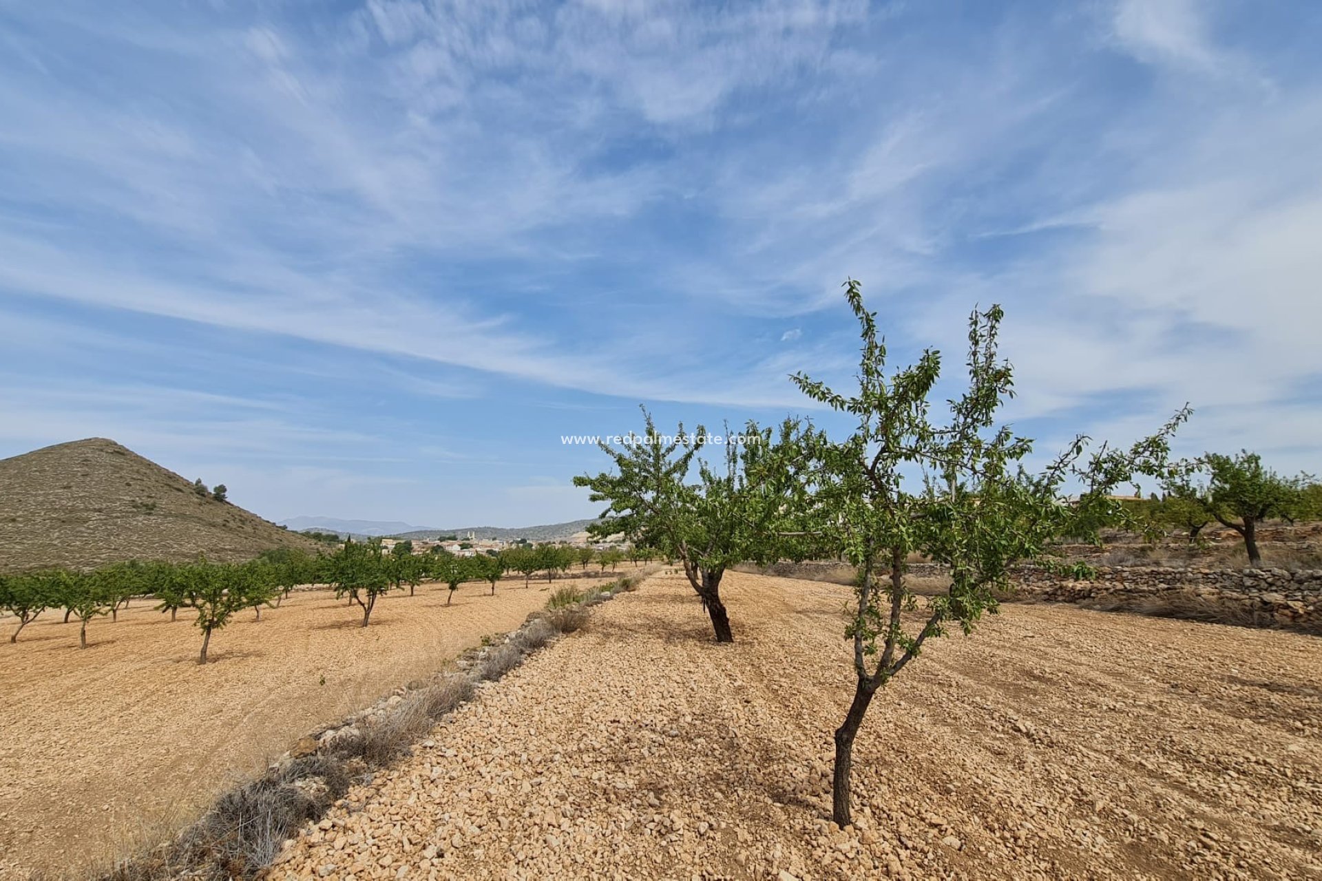 Resale - Plot -
Algueña - Inland