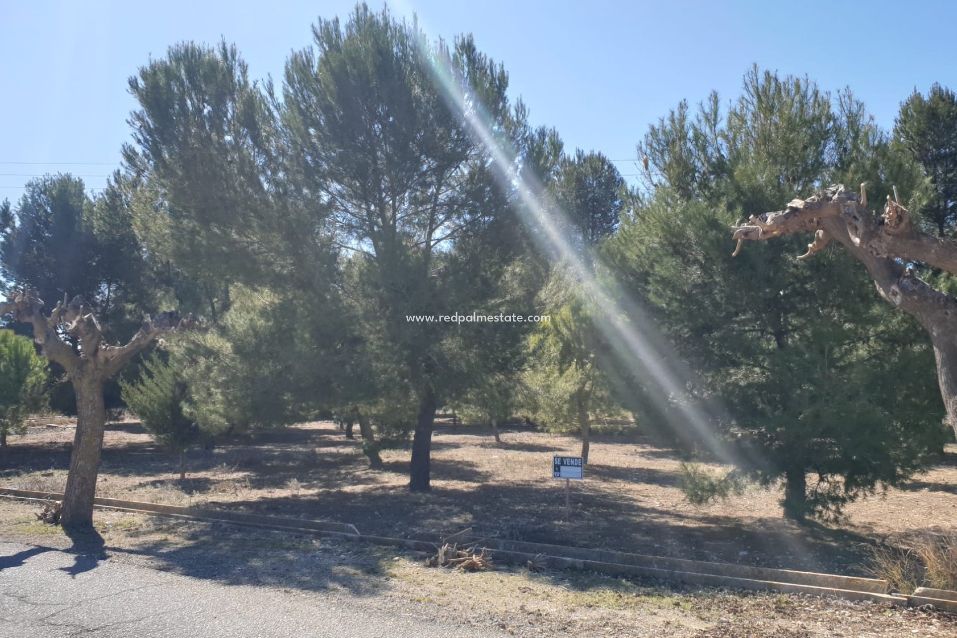 Resale - Plot -
Beneixama - Inland