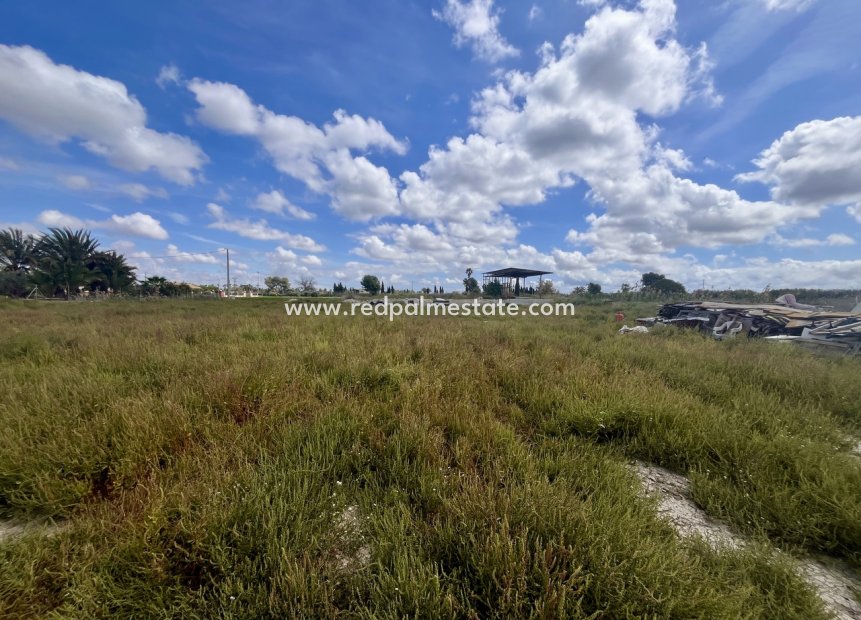 Resale - Plot -
Catral - Costa Blanca