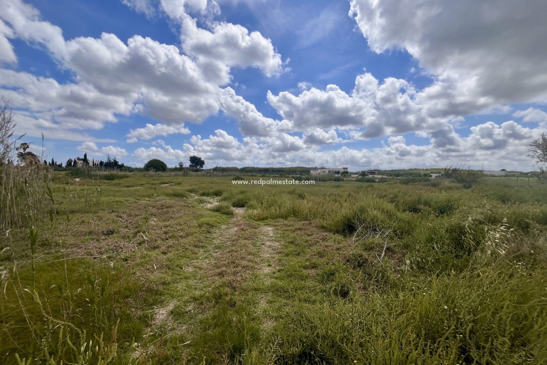 Resale - Plot -
Catral - Costa Blanca