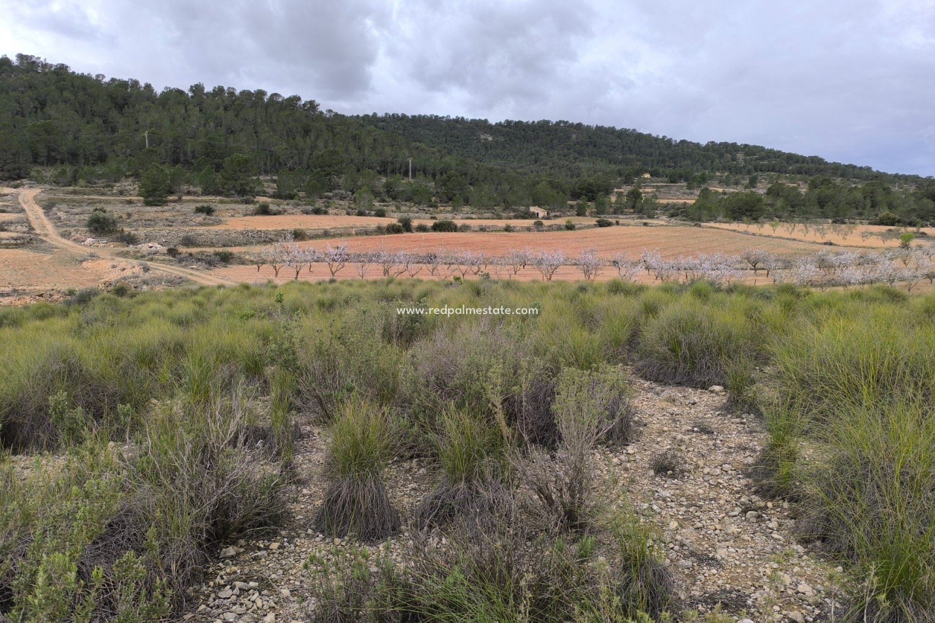 Resale - Plot -
Chinorlet - Inland