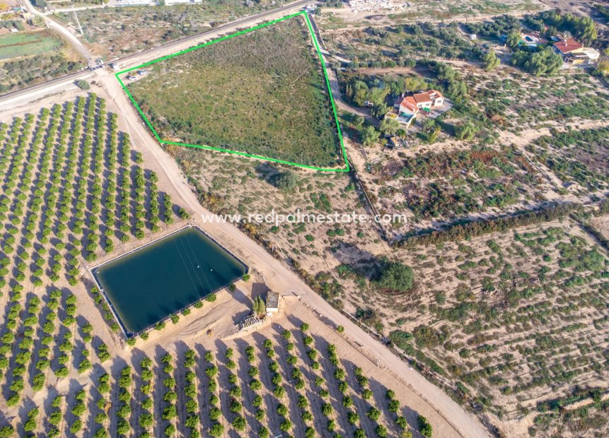 Resale - Plot -
Crevillente - Comunidad Valenciana