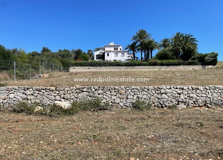 Resale - Plot -
Denia