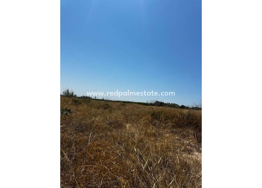 Resale - Plot -
Elche - Costa Blanca