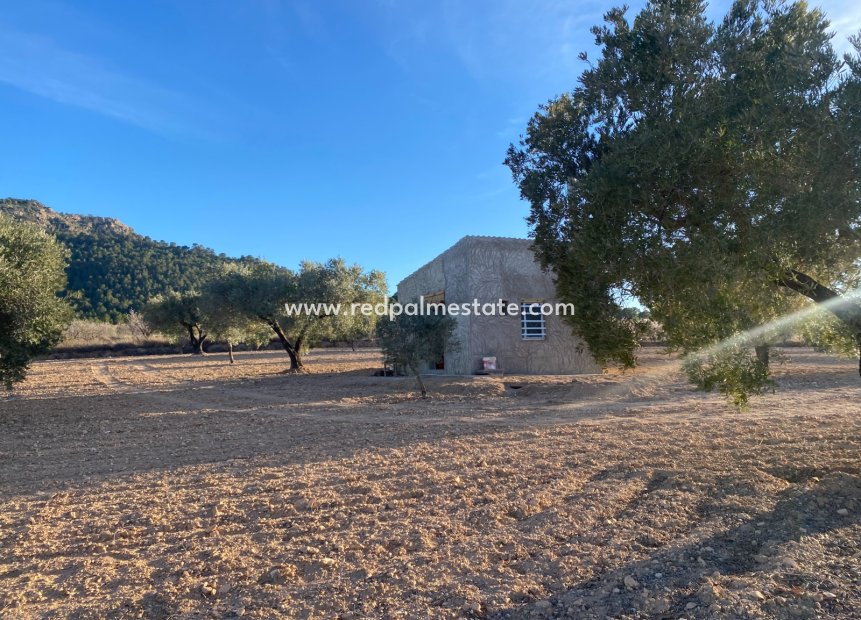 Resale - Plot -
Elda