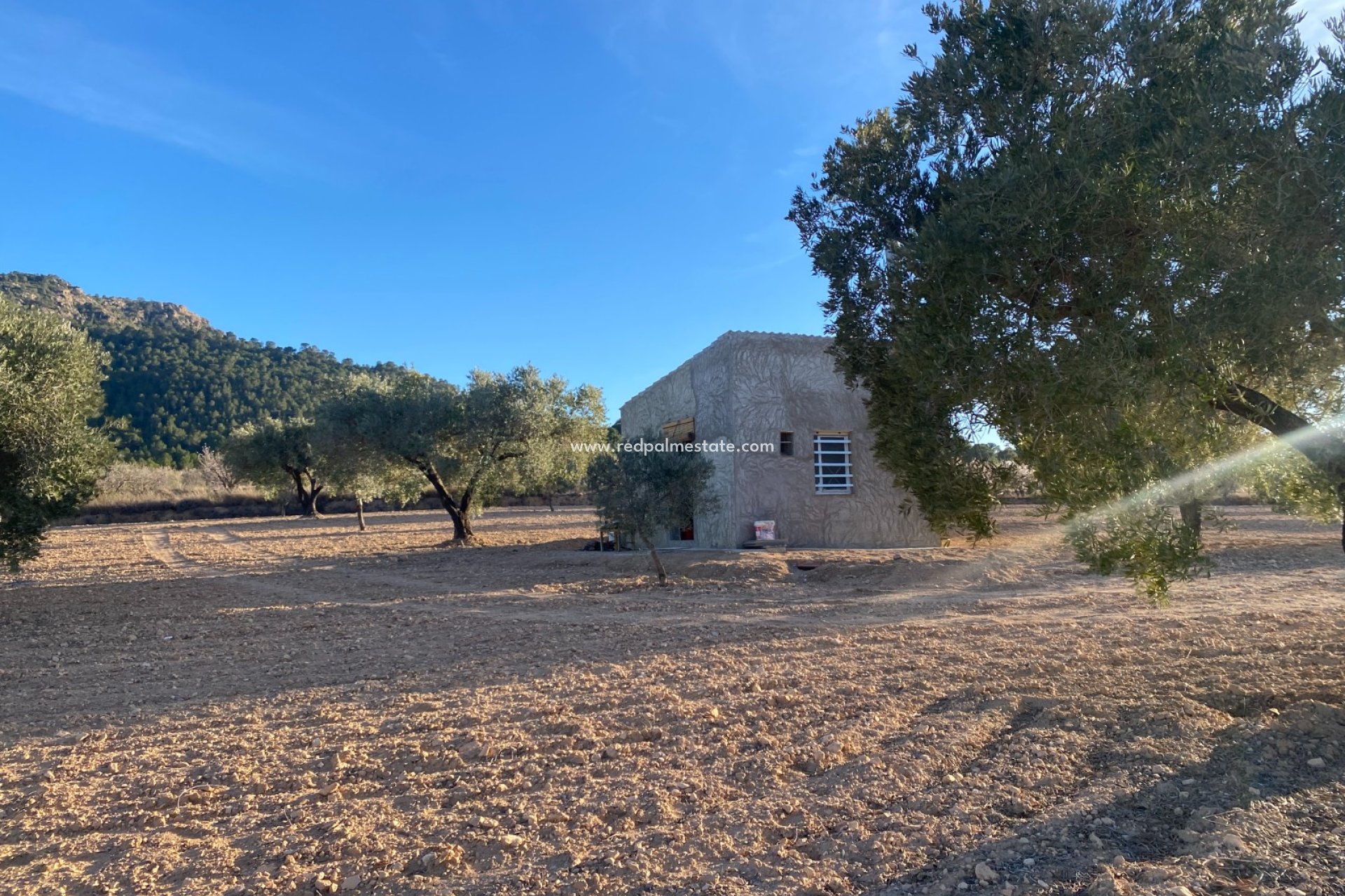 Resale - Plot -
Elda