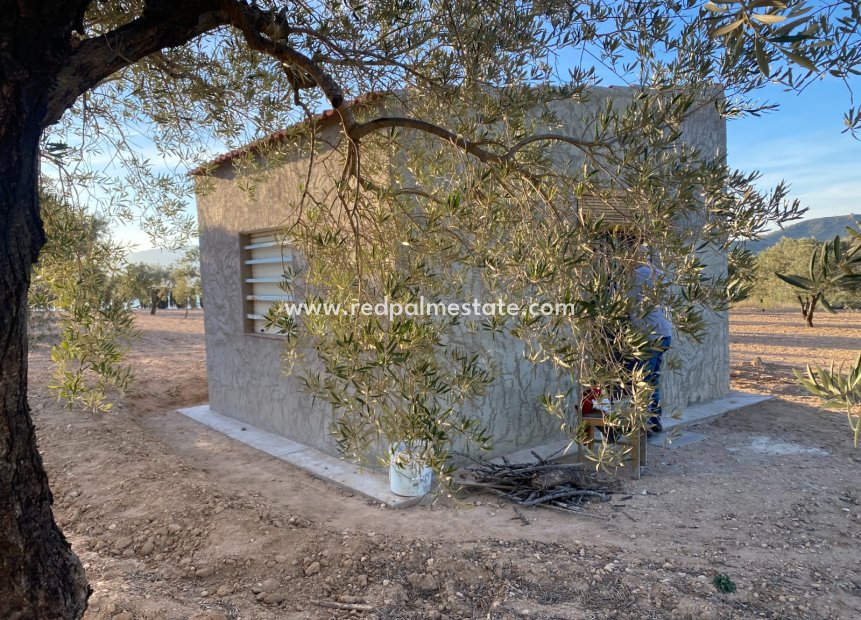 Resale - Plot -
Elda