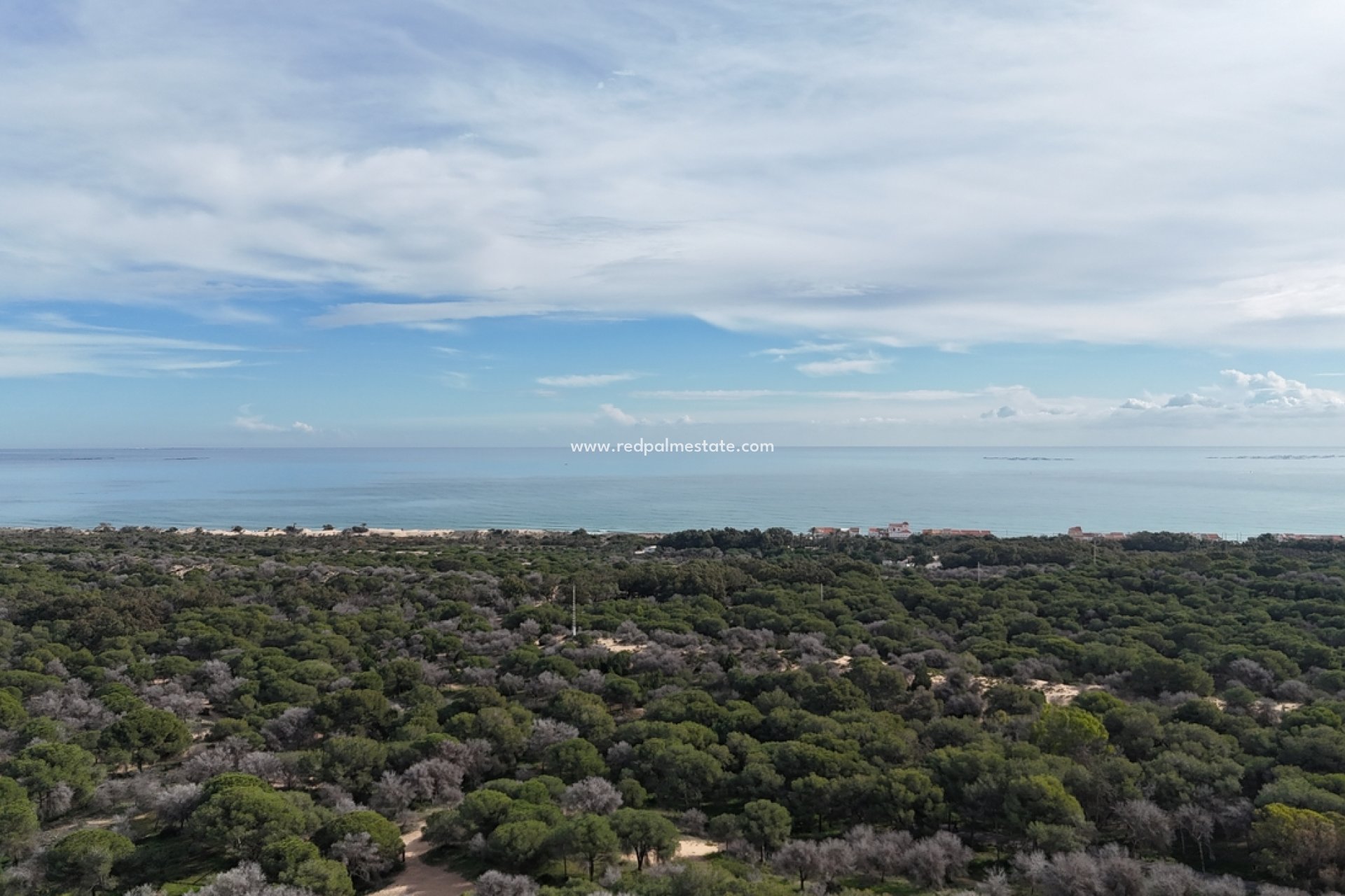 Resale - Plot -
Guardamar del Segura - Guardamar