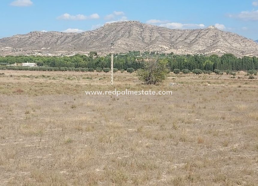 Resale - Plot -
Hondón de las Nieves - Inland