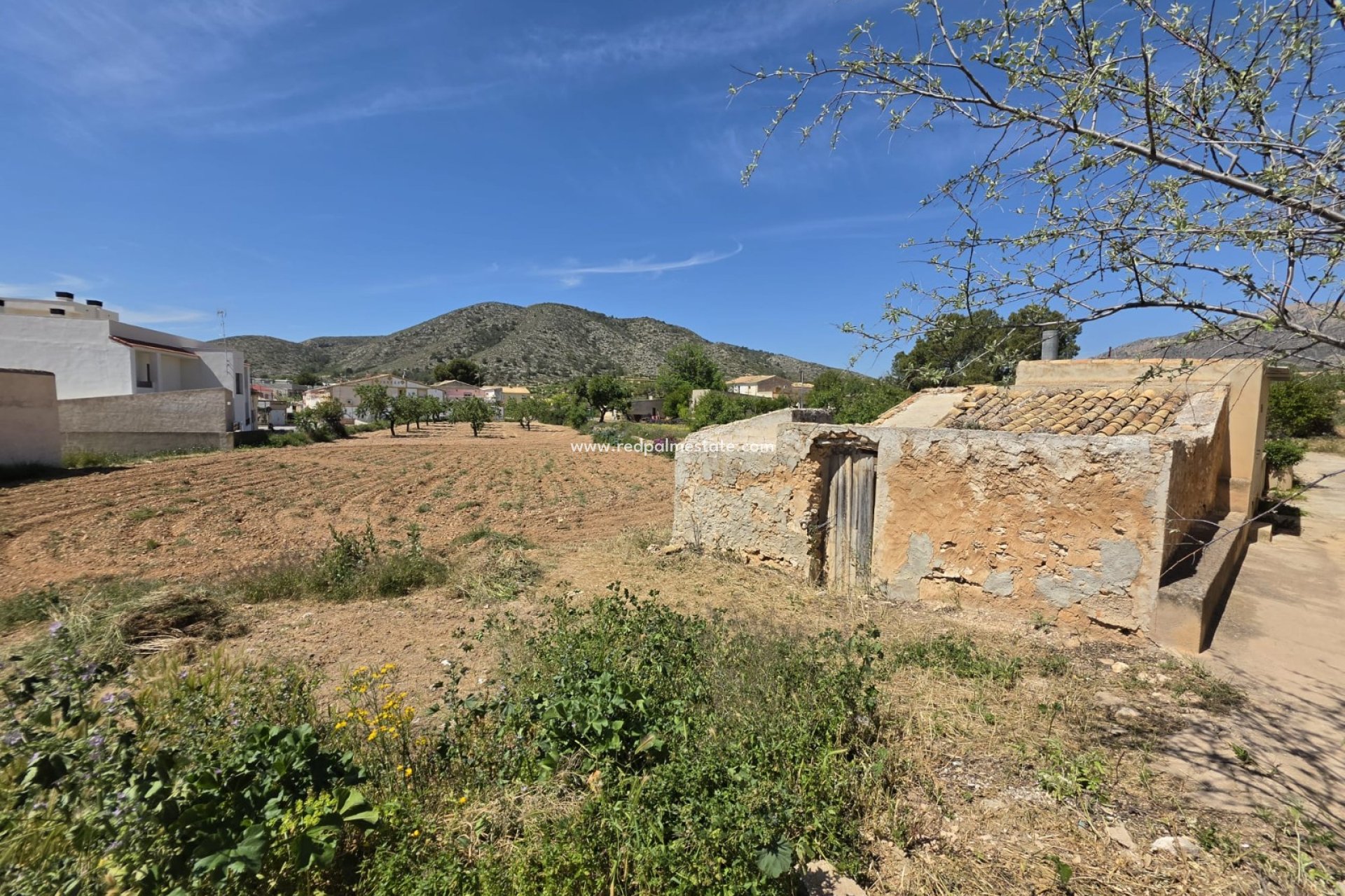 Resale - Plot -
Hondón de las Nieves - Inland