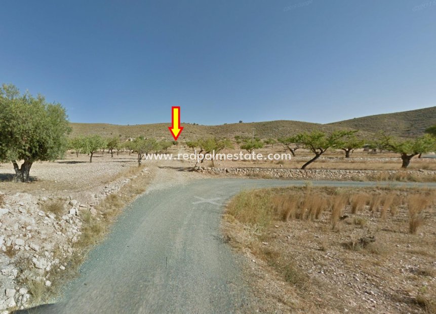 Resale - Plot -
Hondón de las Nieves - Rebalso