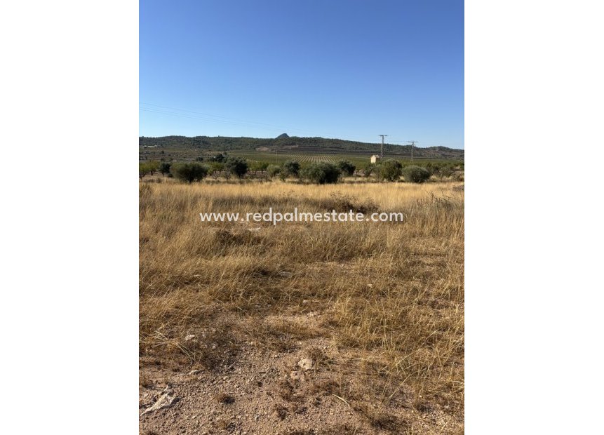 Resale - Plot -
Hondón de los Fráiles - Barbarroja