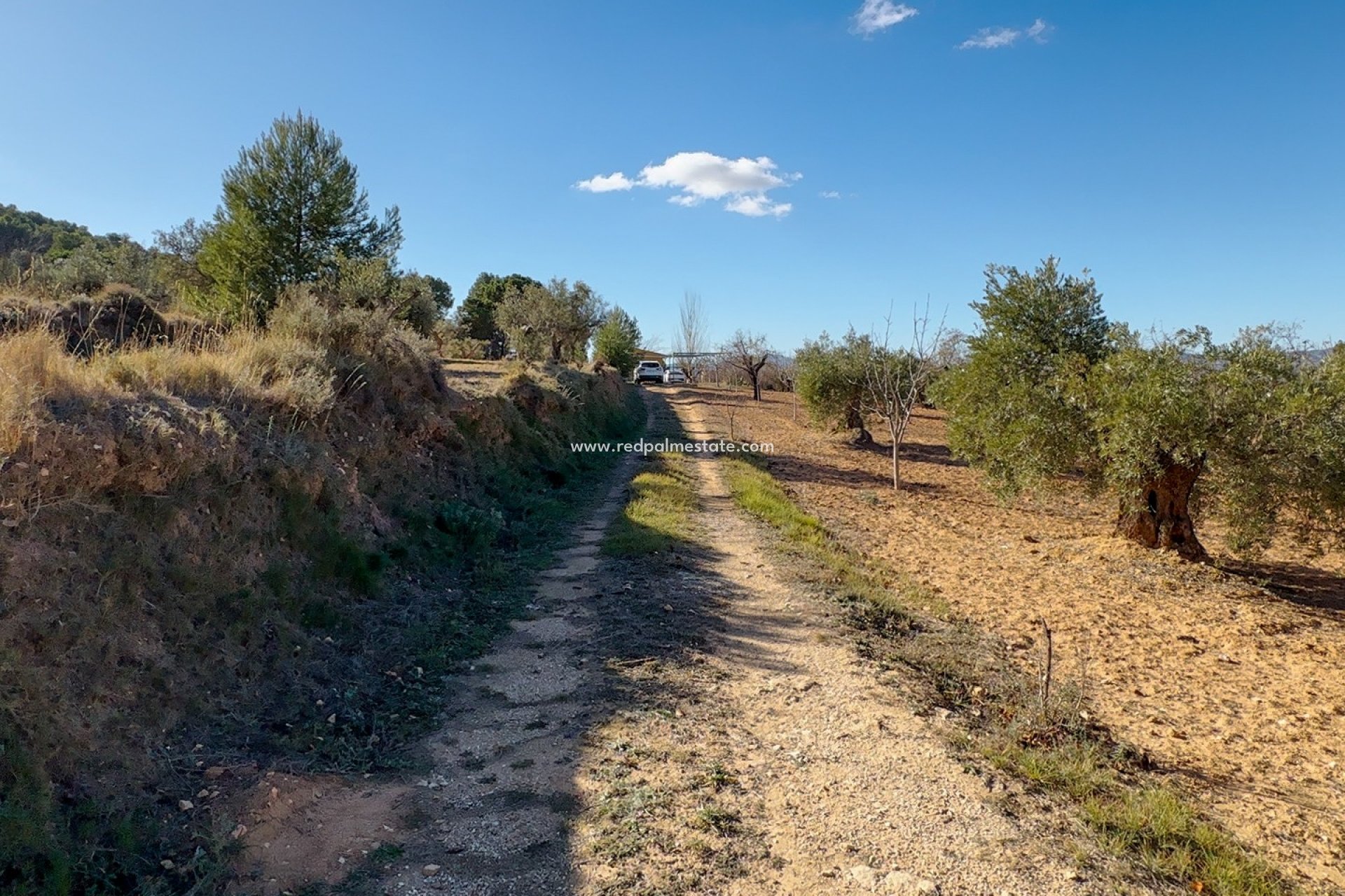 Resale - Plot -
Ibi - Costa Blanca