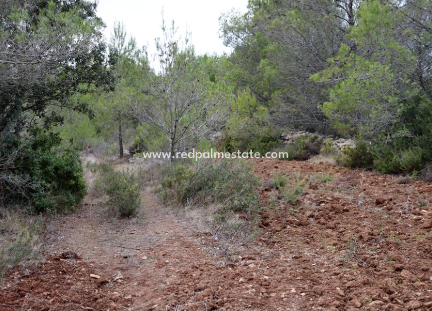 Resale - Plot -
Jalón - Inland