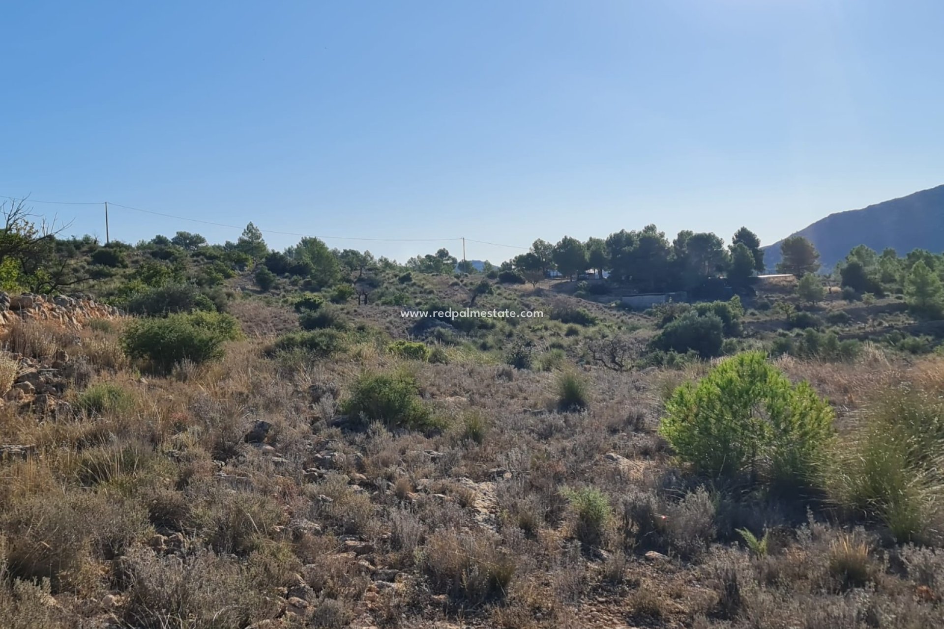 Resale - Plot -
La Romana - Inland