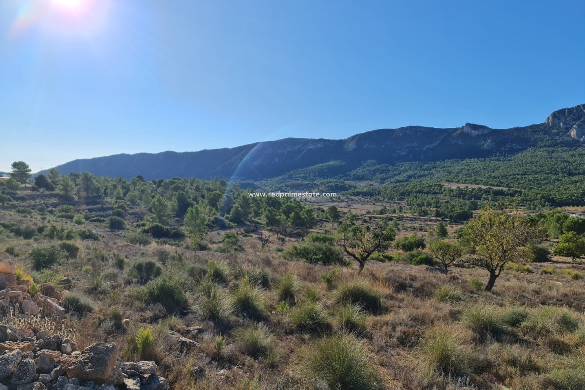 Resale - Plot -
La Romana - Inland