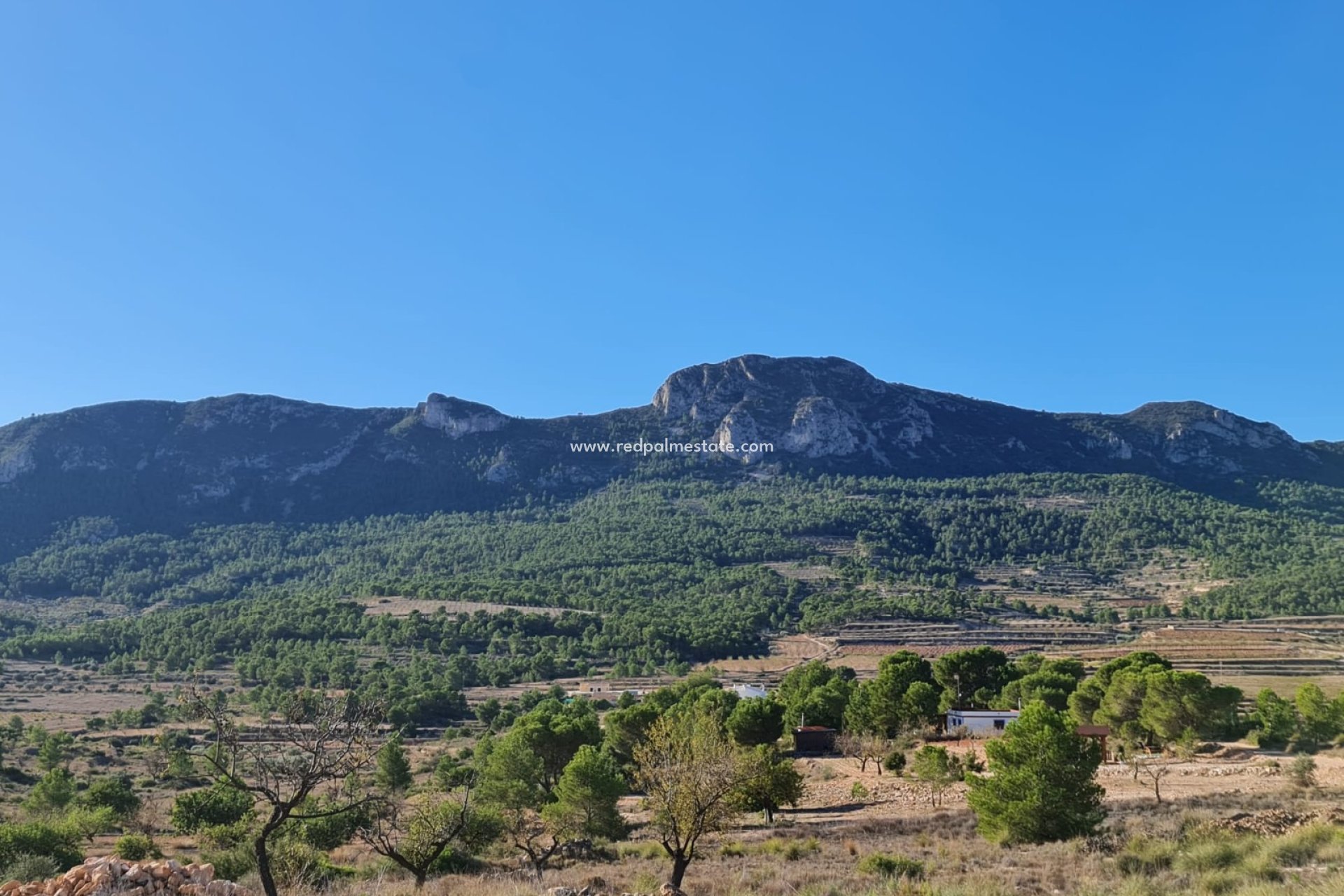 Resale - Plot -
La Romana - Inland