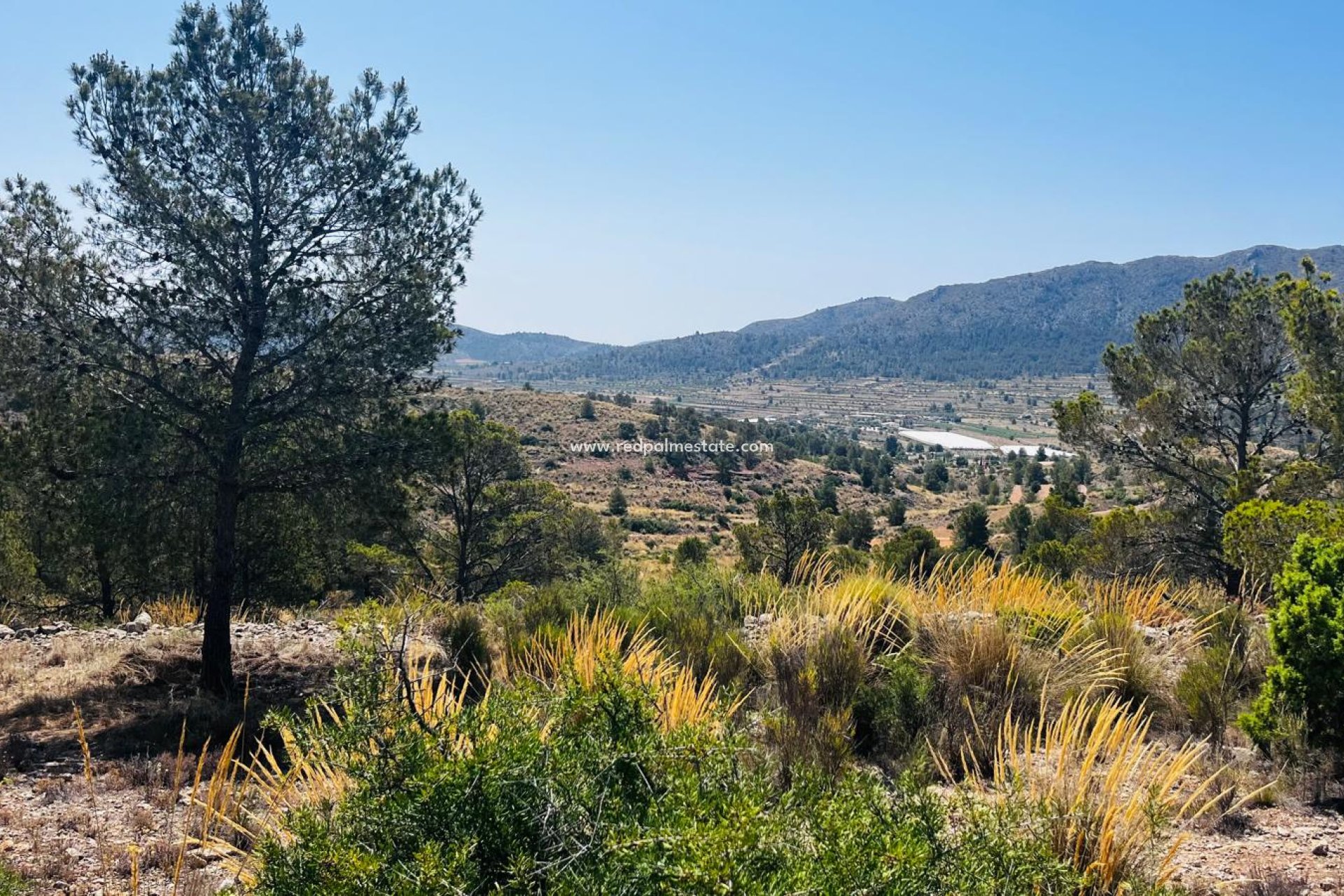 Resale - Plot -
La Romana - Inland