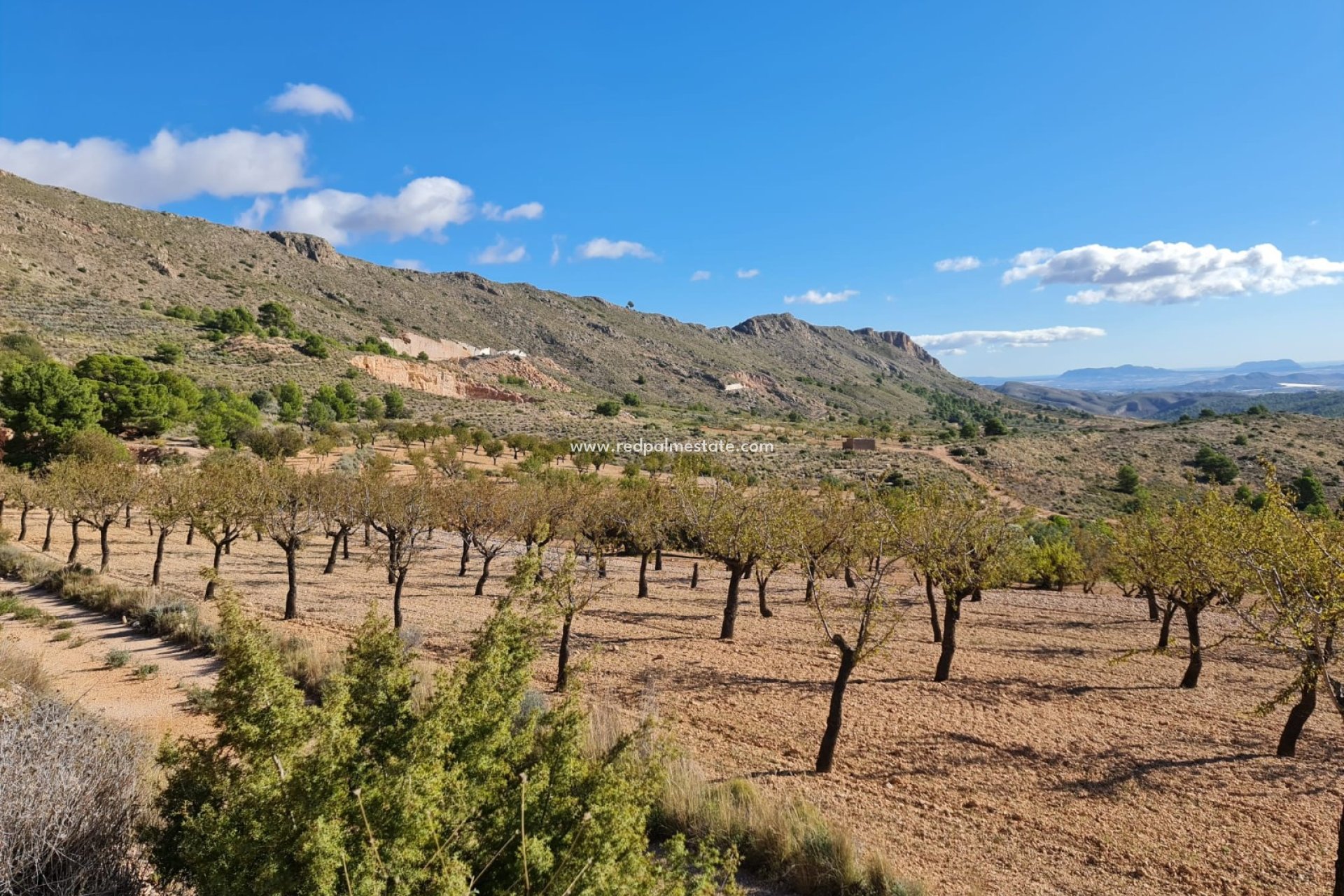 Resale - Plot -
La Romana - Inland