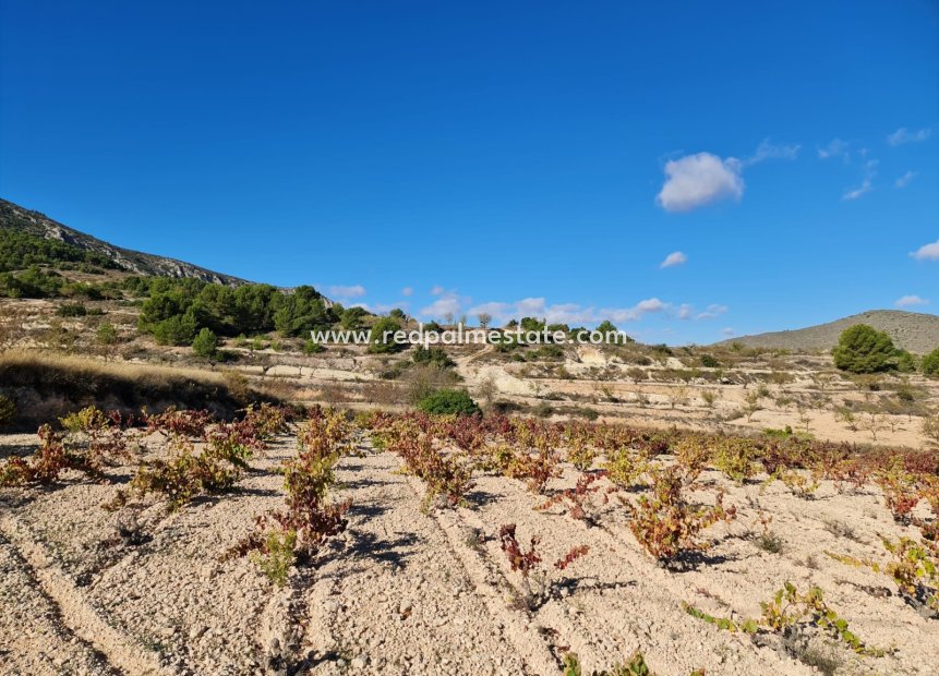 Resale - Plot -
La Romana - Inland
