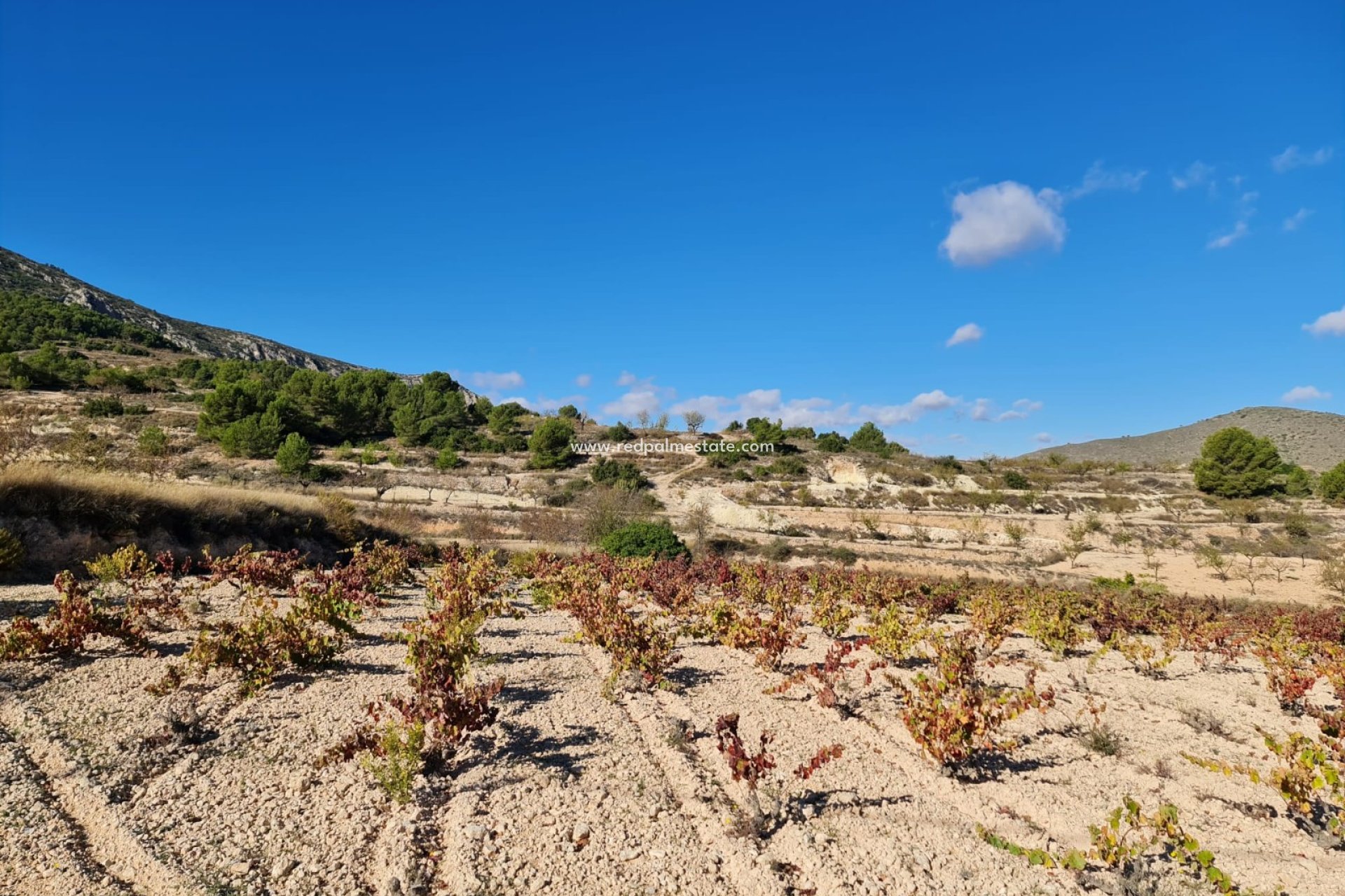 Resale - Plot -
La Romana - Inland