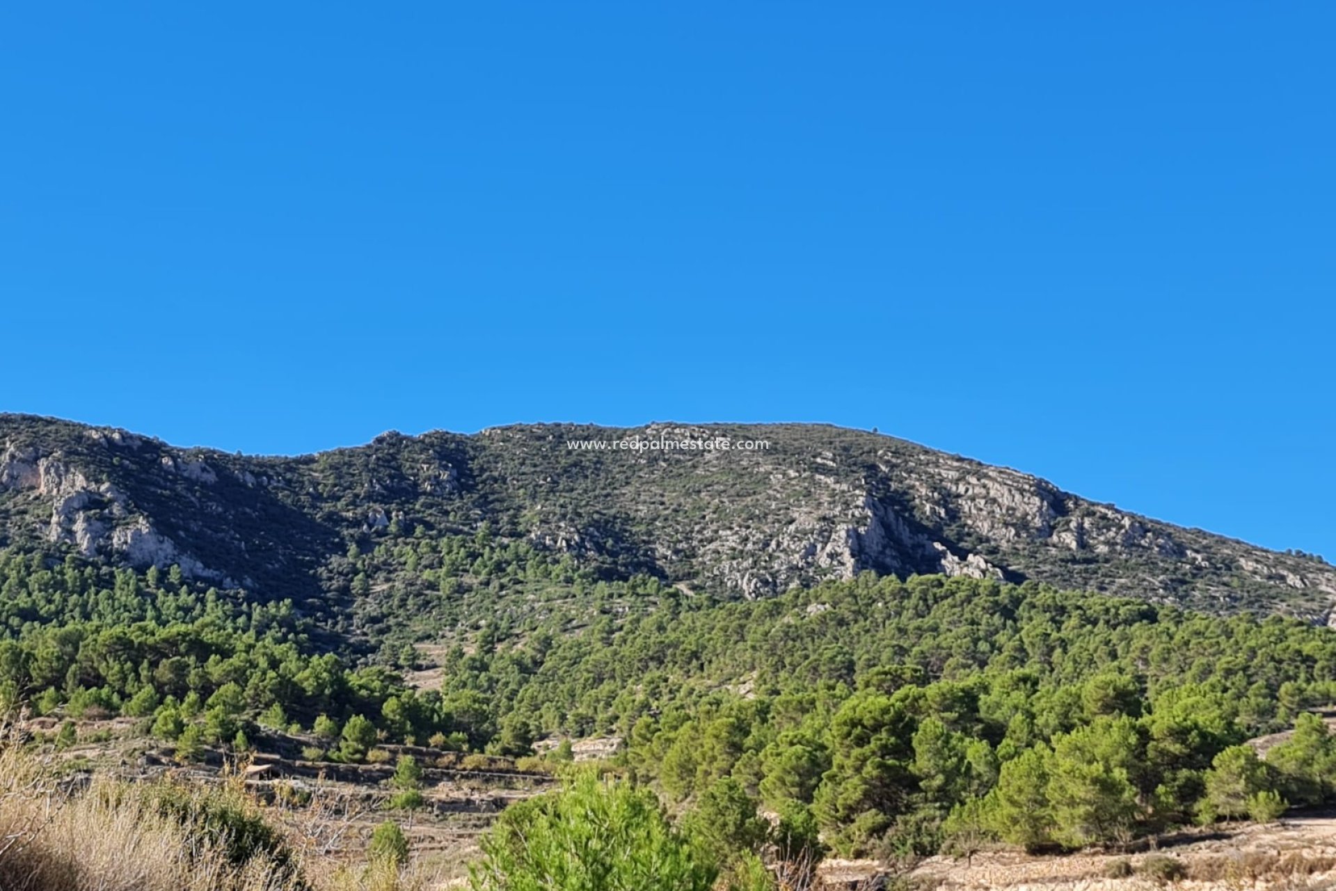 Resale - Plot -
La Romana - Inland