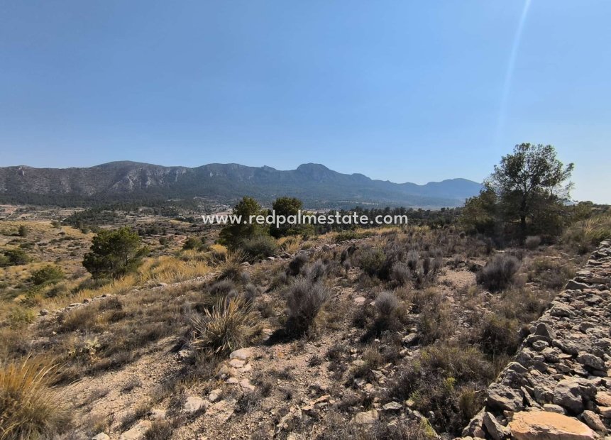 Resale - Plot -
La Romana - Inland