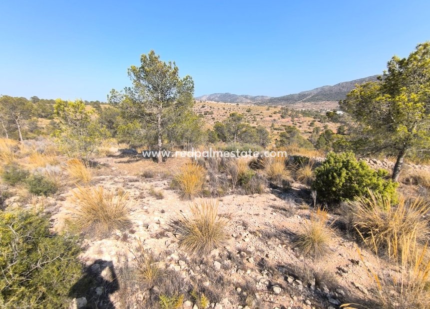 Resale - Plot -
La Romana - Inland
