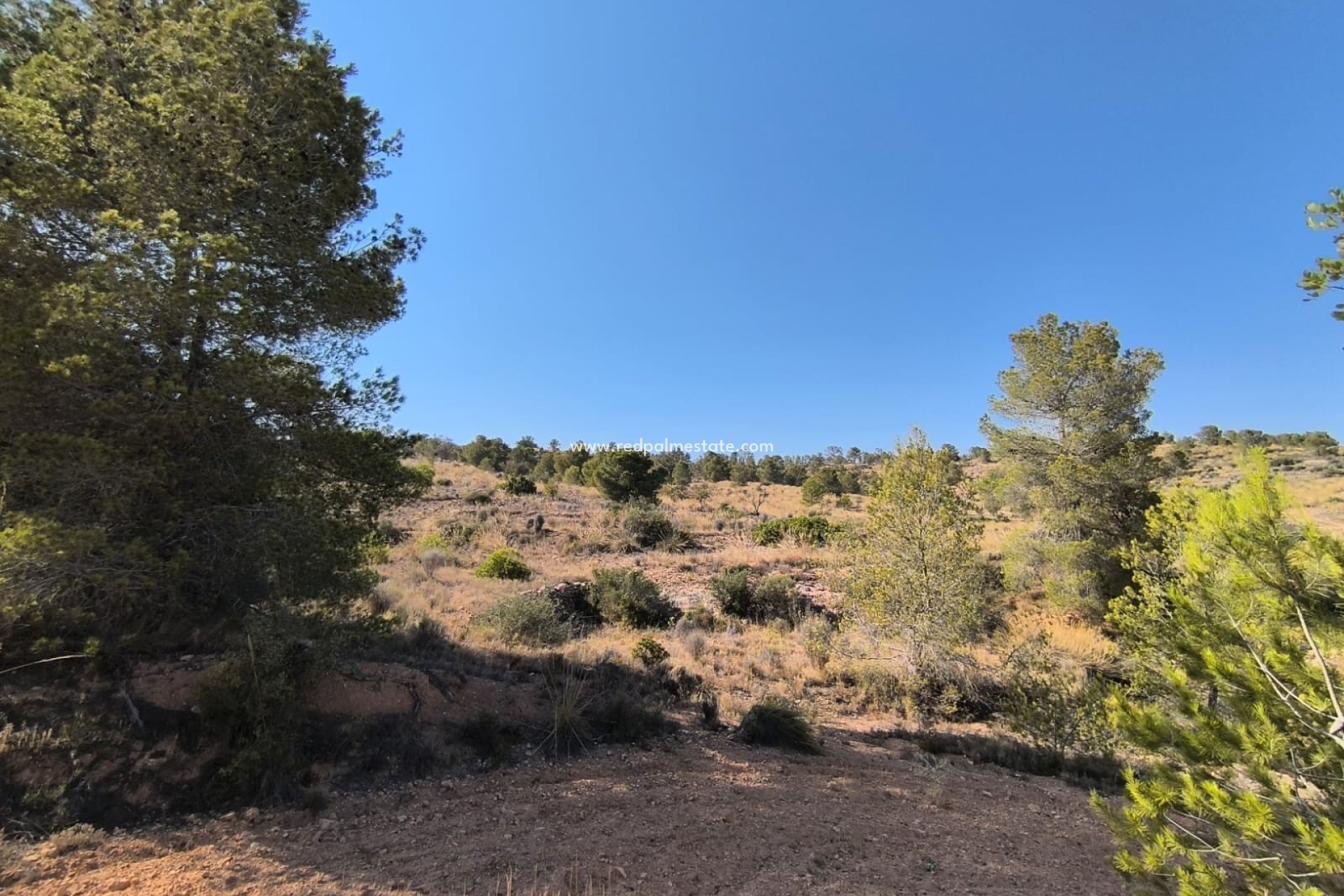 Resale - Plot -
La Romana - Inland