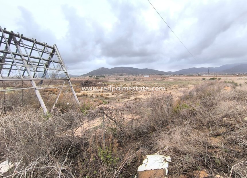 Resale - Plot -
La Romana - Inland