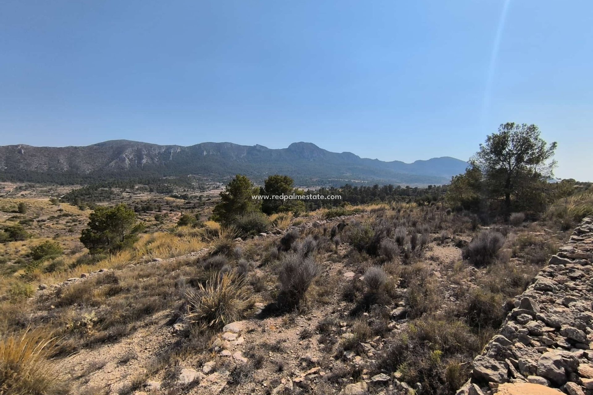 Resale - Plot -
La Romana - Inland