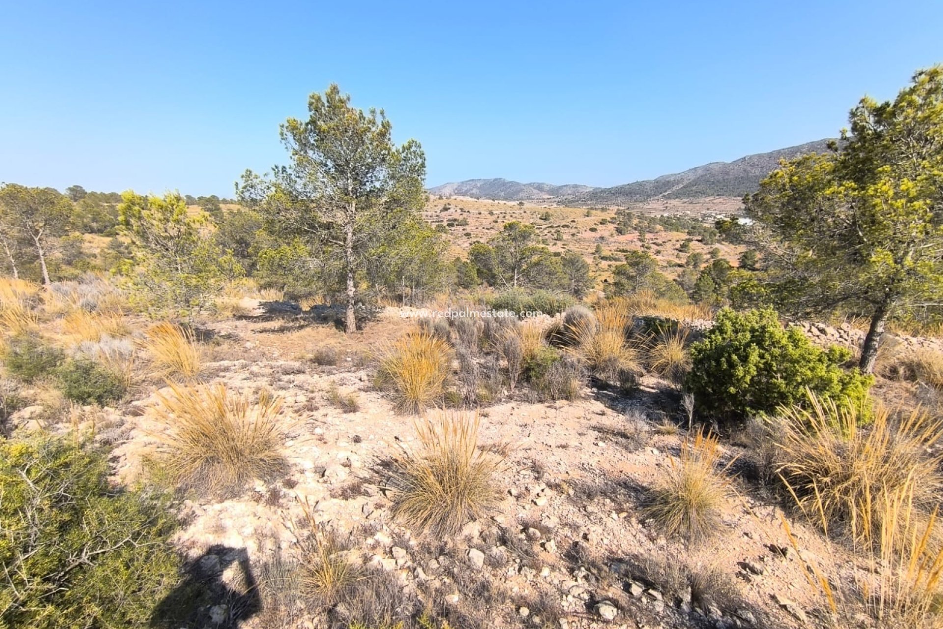 Resale - Plot -
La Romana - Inland