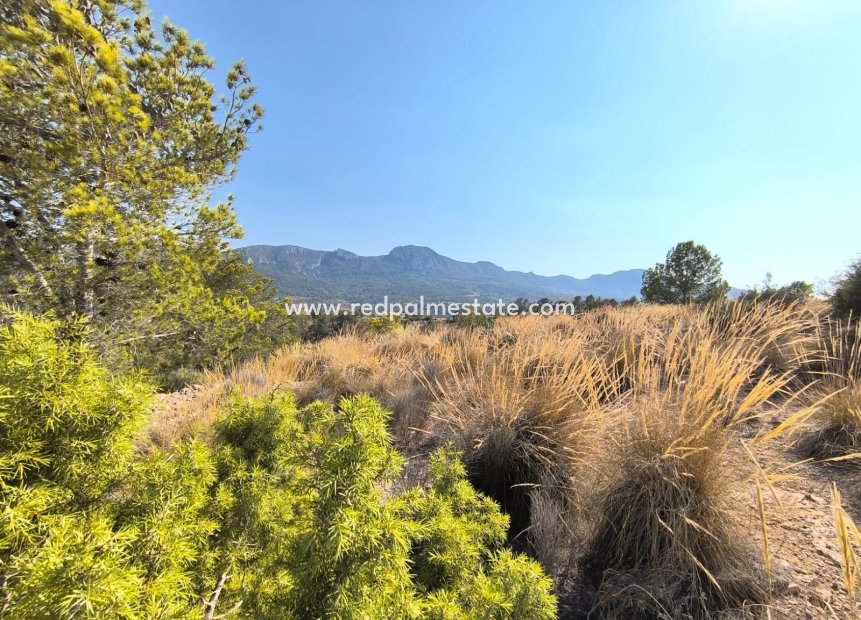 Resale - Plot -
La Romana - Inland