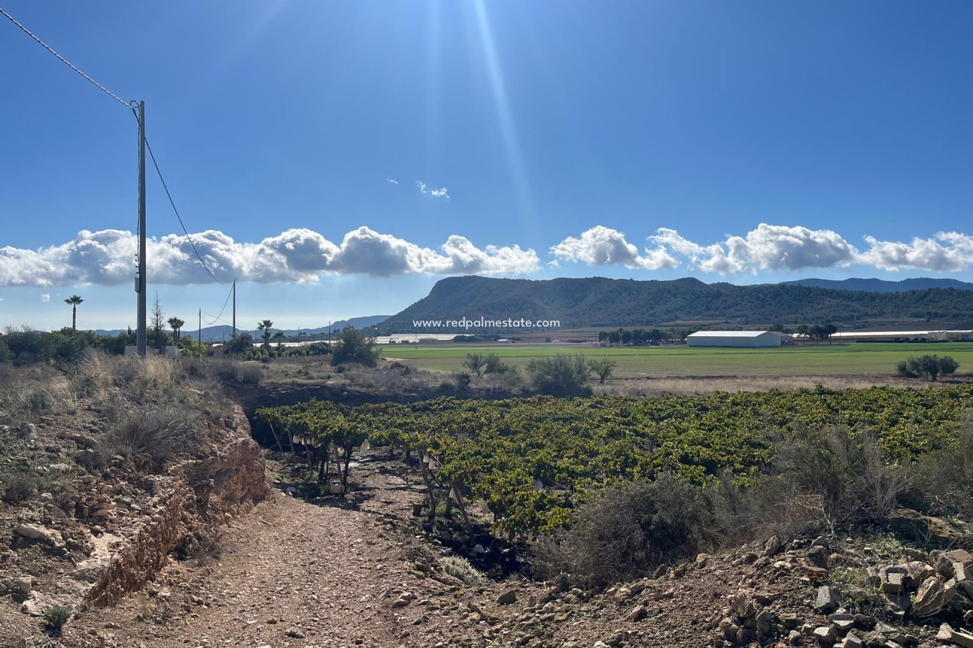 Resale - Plot -
La Romana - Inland