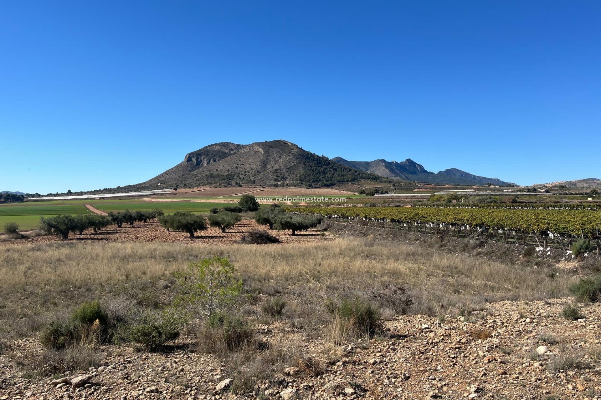 Resale - Plot -
La Romana - Inland