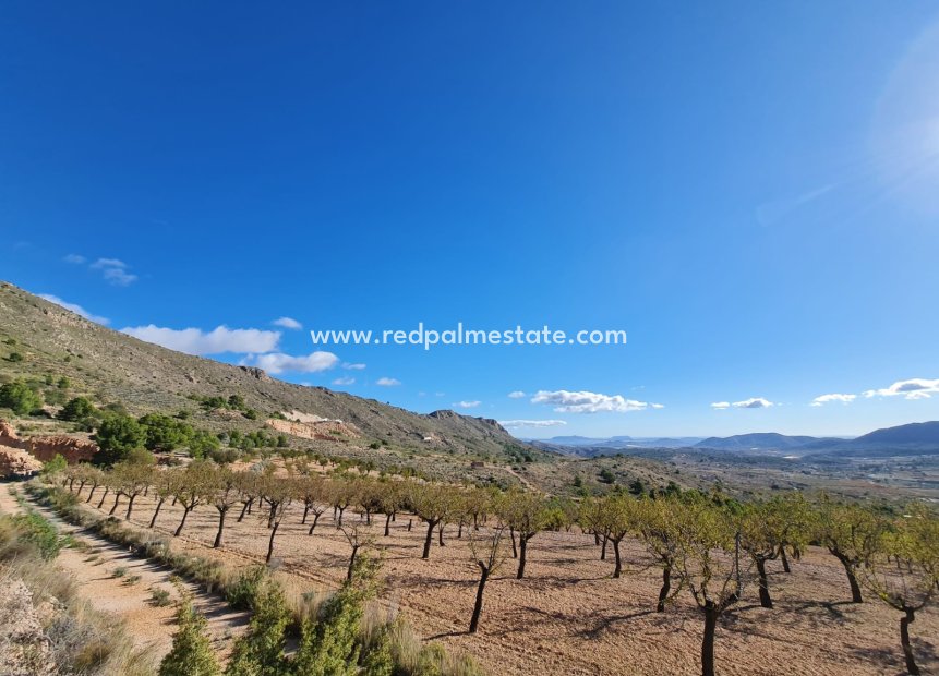 Resale - Plot -
La Romana - Inland