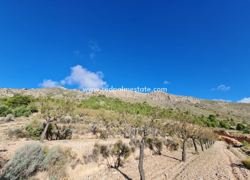 Resale - Plot -
La Romana - Inland