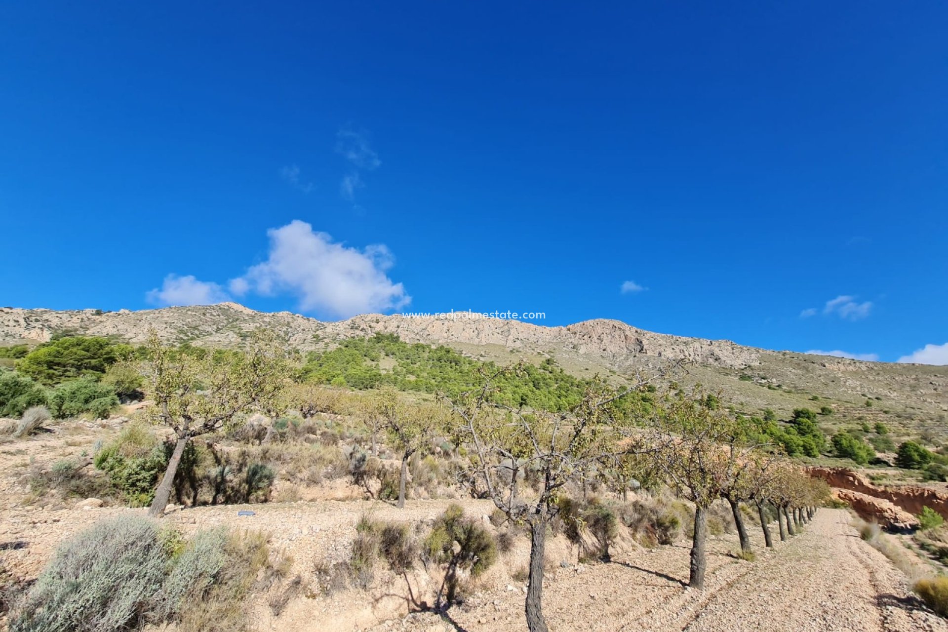 Resale - Plot -
La Romana - Inland