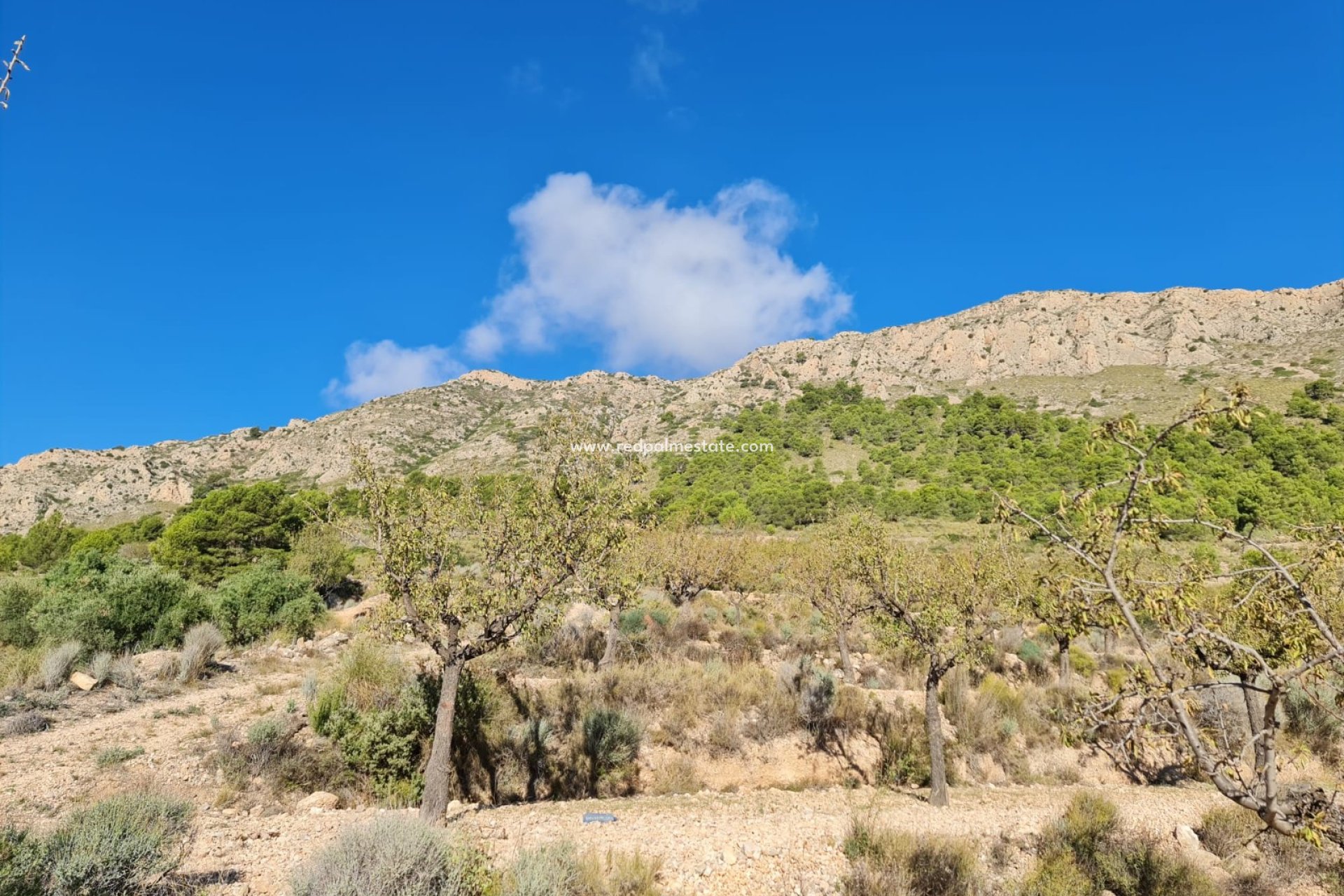 Resale - Plot -
La Romana - Inland