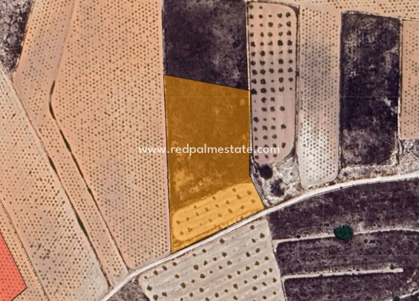 Resale - Plot -
La Solana