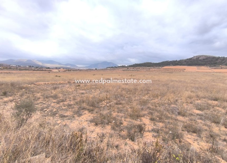 Resale - Plot -
La Solana
