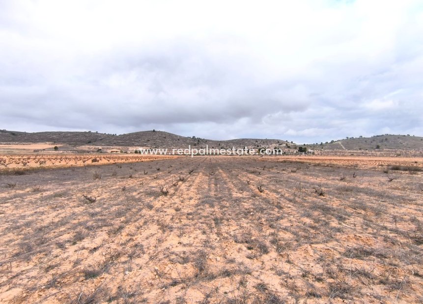 Resale - Plot -
La Solana