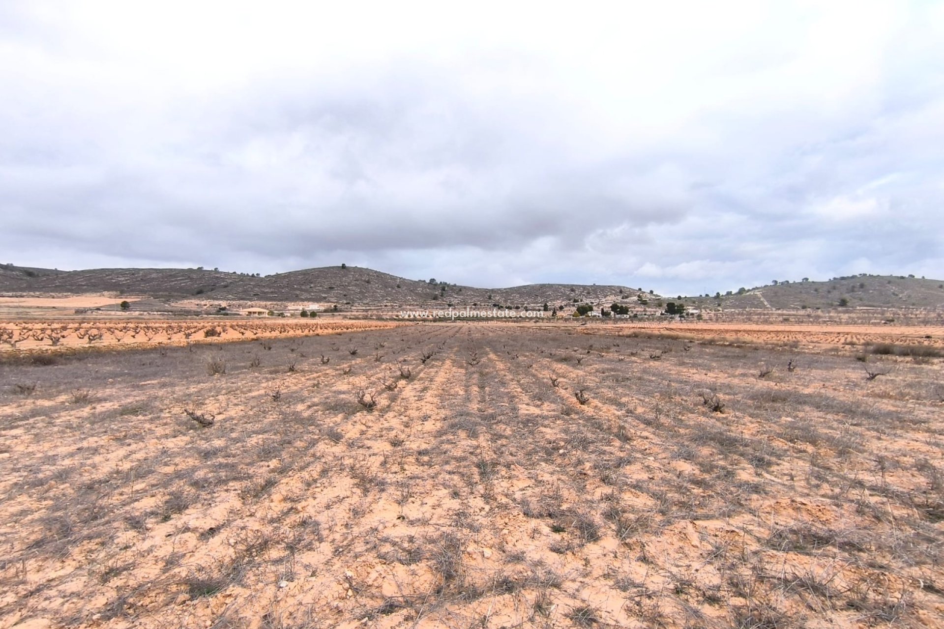 Resale - Plot -
La Solana