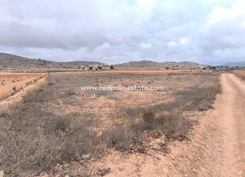 Resale - Plot -
La Solana