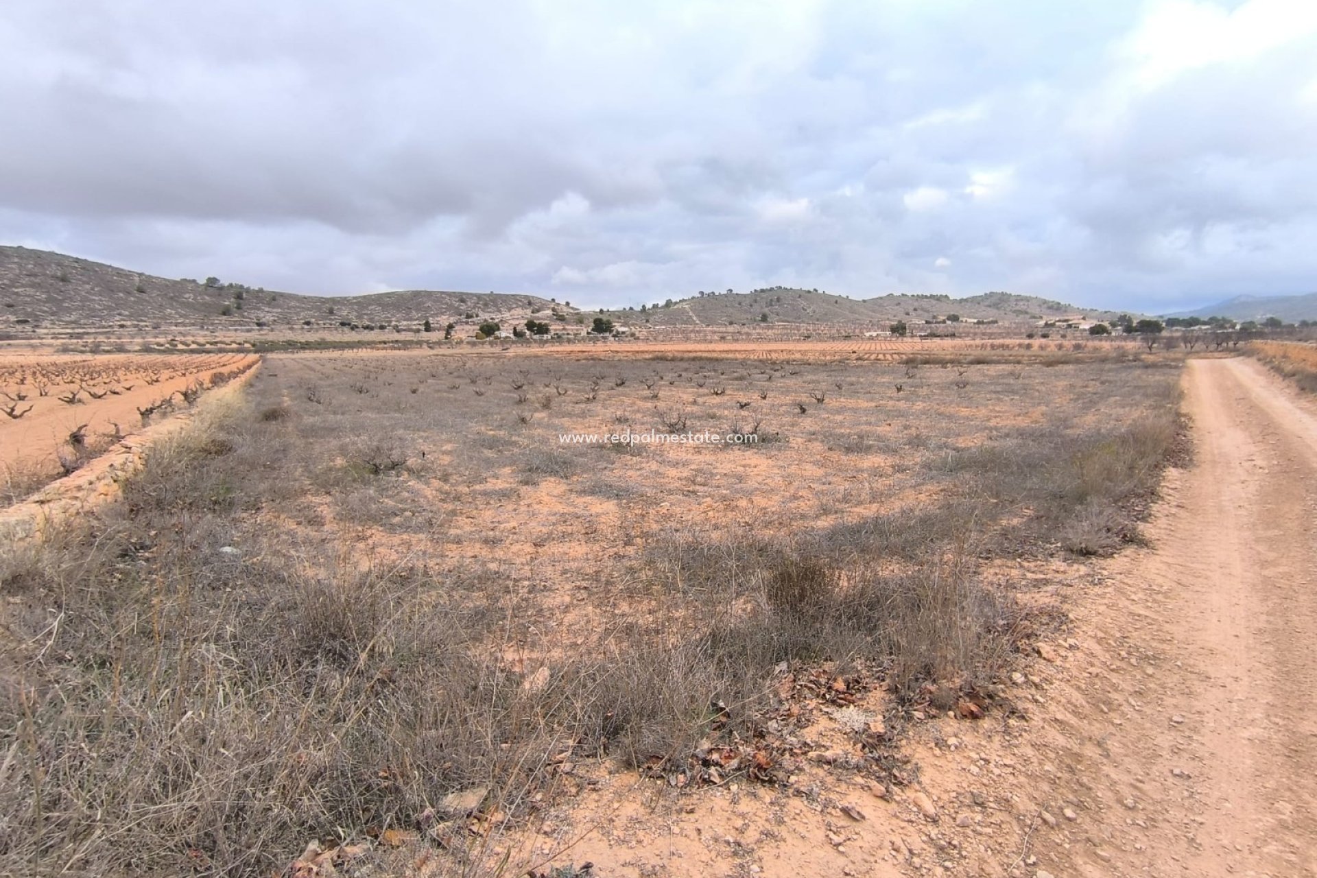 Resale - Plot -
La Solana