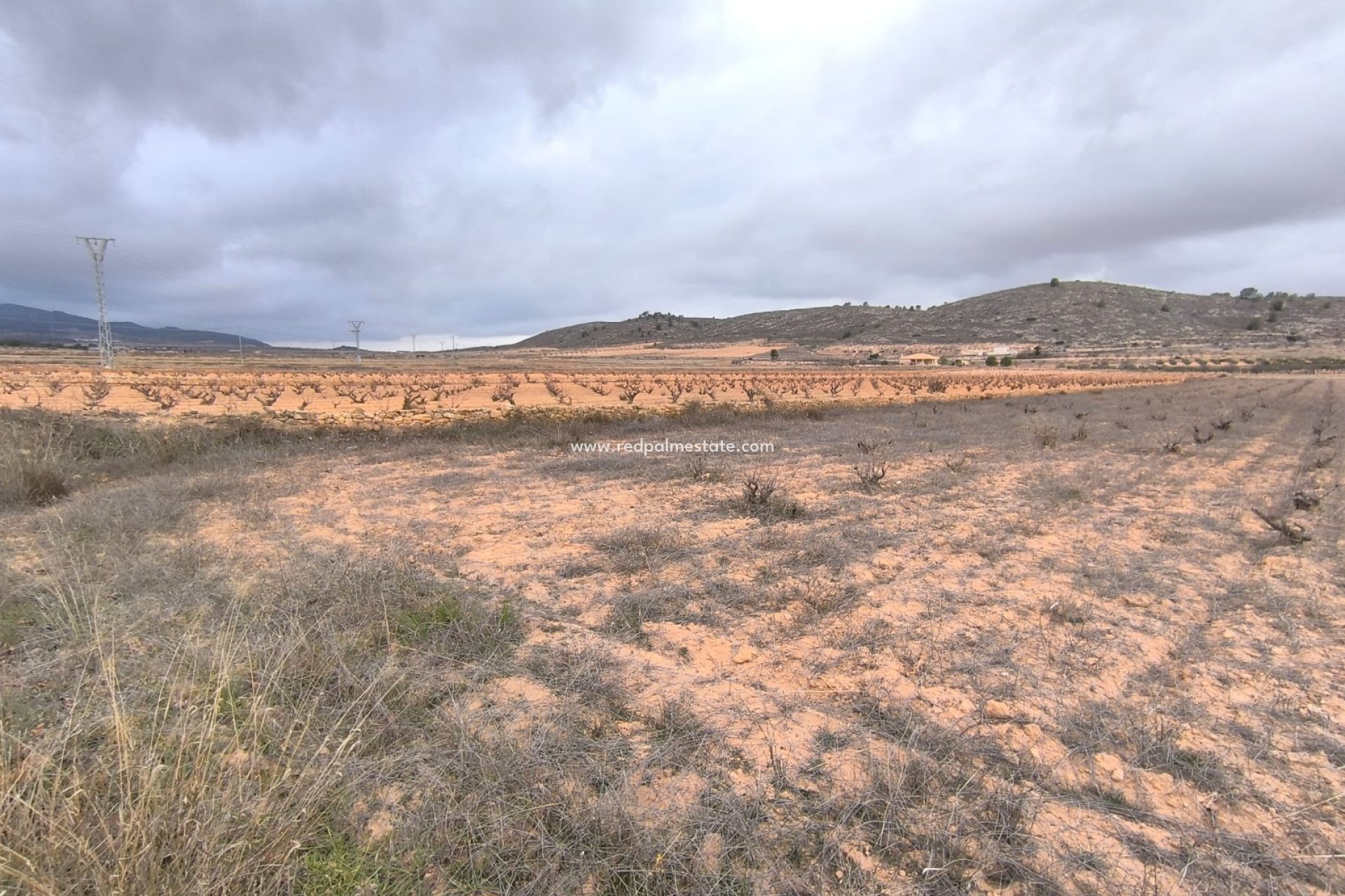 Resale - Plot -
La Solana