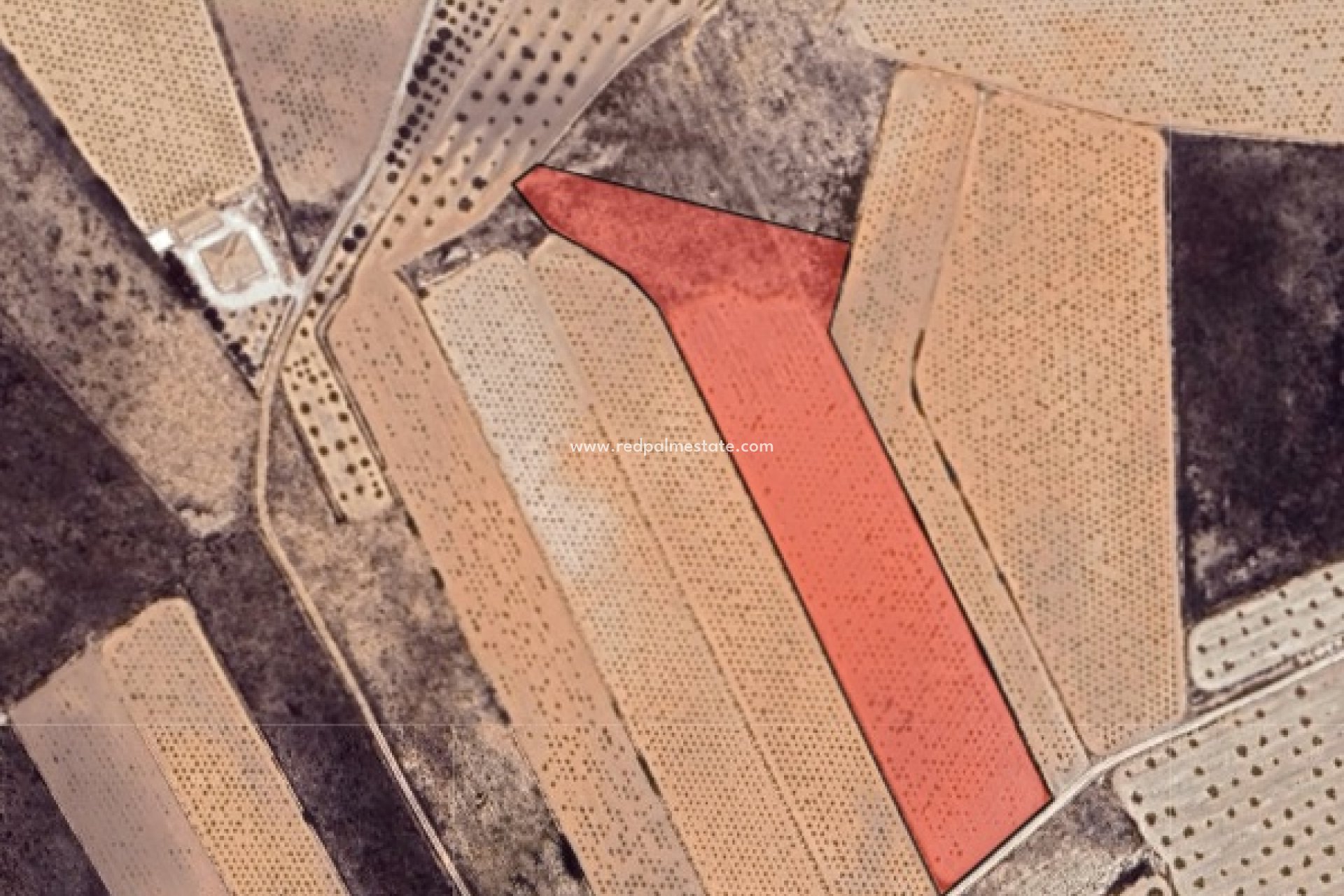 Resale - Plot -
La Solana