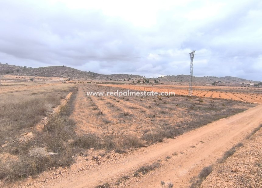 Resale - Plot -
La Solana